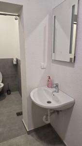 Apartmaji Despotoski Mojstrana 