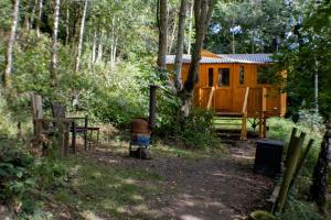 Peggys Cabin in the Woods