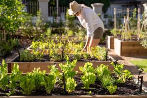 Pink Door Franschhoek by The Oyster Collection