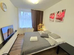 Studio Apartment Red Apple - Paupiai
