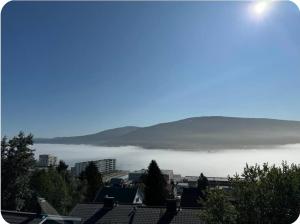 Amazing apartment near the center