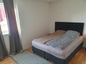 Amazing apartment near the center