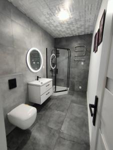 722 Slate Apartament Jedlina-Zdrój