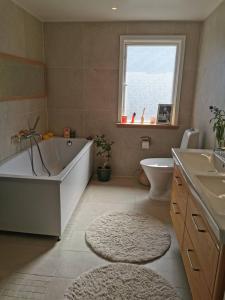 Nice villa with sunny terrace, smaller pool jumping-pad