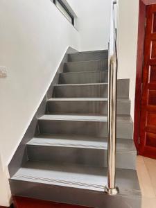 Rhino Luxurious Apartments