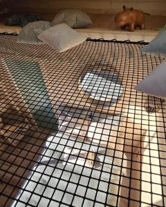 B&B / Chambres d'hotes La Cabane Aixoise Piscine & Jacuzzi : photos des chambres