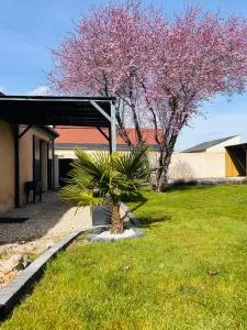 La baudinière - Pont-de-Ruan