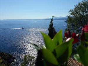 Appartements Beauty : photos des chambres