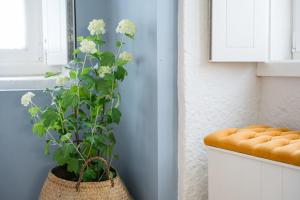 GuestReady - Souto Downtown Studios