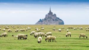 Campings Camping La Vallee : photos des chambres