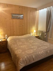 Appartements Vue Mont Blanc et toute la chaine : photos des chambres