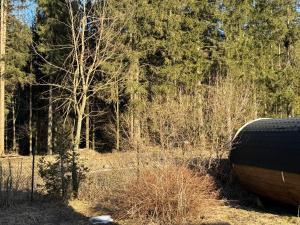 Pensjonat Leśniczówka Zieleniec