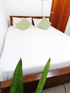 The Green Light House