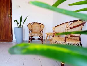 The Green Light House