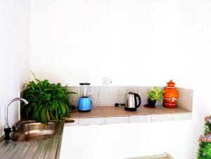 The Green Light House