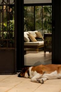Maisons d'hotes LE DOMAINE DE FERRAT : photos des chambres