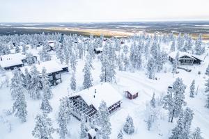 Villa Swan by Aavalevi