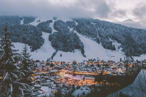 Chalets Chalet C, near Morzine : photos des chambres