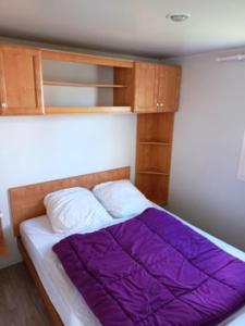 Mobil home LA BAULE 437