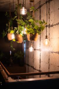 Villas Suite Prohibition - Love & atypique room sauna & spa : photos des chambres