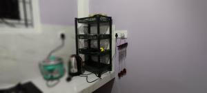 Rolling Waves Midigama East