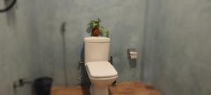 Rolling Waves Midigama East