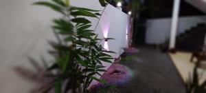 Rolling Waves Midigama East