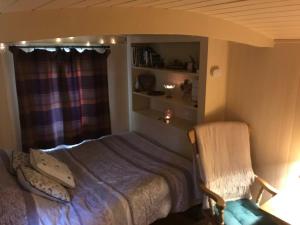 Phoenix Farm Shepherds Hut,Minions, Cornwall