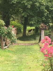 Sejours a la campagne Moulin des Arts : photos des chambres