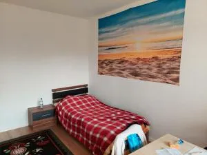 Einraumwohnung am Stadtrand - 莱比锡