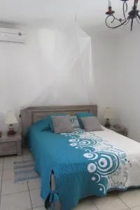 Villa bel ombre - 萨拉济