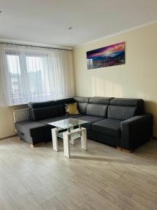 Apartament M 31