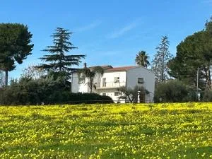 Masseria Novelli - Sibari