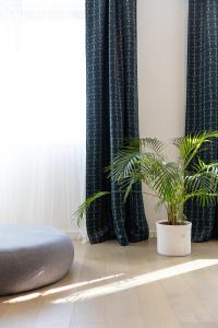 BNB City Escape on Chalupkova