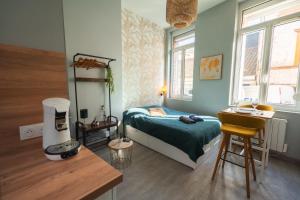 Appartements Le nid douillet - Rez-de-chaussee - Calme & confortable : photos des chambres