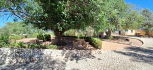 Quinta do Moinho Novo