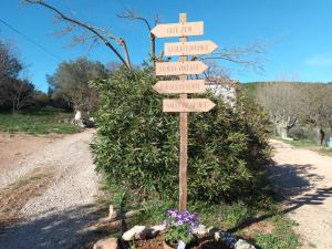 Appartements Studio Romance dans la nature : photos des chambres