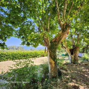 Appartements Studio Romance dans la nature : photos des chambres