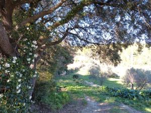 Appartements Studio Romance dans la nature : photos des chambres