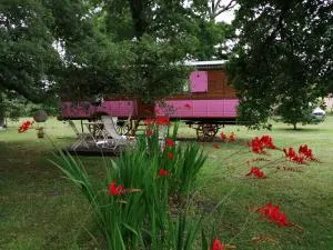 Roulotte de pellica - Lévignacq