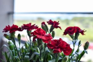 J & J Holiday Home Vala Mar