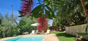 Refúgio da Cigarra - Sobral