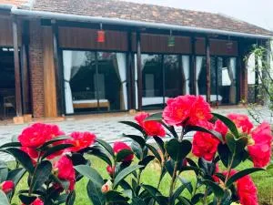 Son House - Dong Hoi