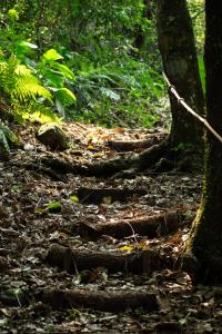 Reserva Natural Don Rodolfo