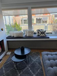 Très beau penthouse avec terrasse - Place Albert