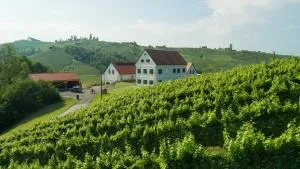 Weinschmiede 18' - 韦因道旁格兰茨