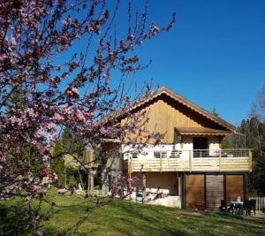 Appartements GITE O FIL DU BOIS avec spa et piscine a Longchaumois - du samedi au samedi : photos des chambres