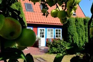 Preilos obuoliukai - 温特