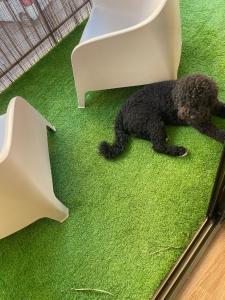 Apartamento Neptuno A4