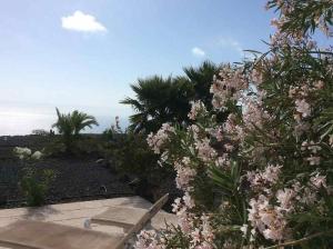 Appartement Taburiente